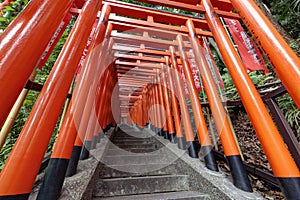 Japanese traditional red Tori gates in Tokyo