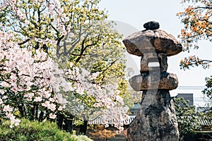 Japanese traditional stone lamp with cherry blossoms at Toji temple in Kyoto, Japan