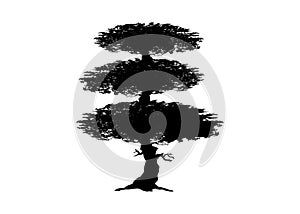 Japanese tree concept vector icon, crown pruning tree. Asian style ornamental black silhouette tree isolated on white background