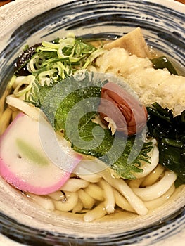 Japanese Udon Noodle