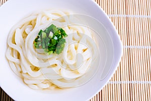 Japanese udon noodles, white bowl