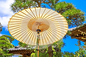 Japanese umbrella background