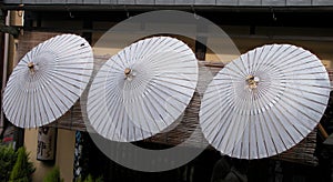 Japanese umbrellas