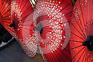 Japanese Umbrellas