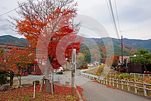 japanese village with autumn leaves