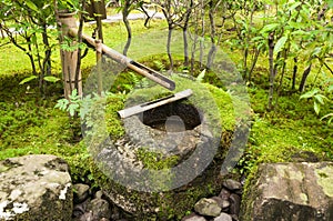 Japanese water bamboo fountain