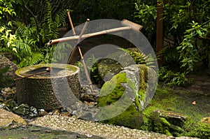 Japanese water bamboo fountain