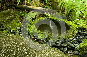 Japanese water bamboo fountain