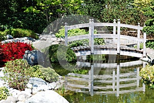 Japanese water garden