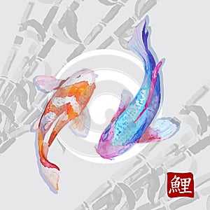 Japanese watercolor carps koi swimming