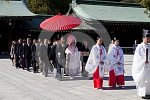 Japanese wedding ceremony at Shrine