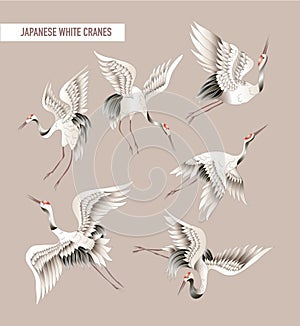 Japanese white crane in batik style. Vector illustration. photo