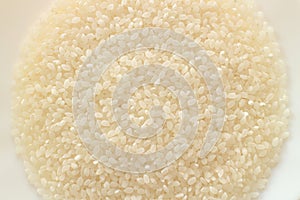 Japanese white grain rice texture on plate