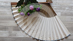 Japanese White Old Style Lady`s Fan with Bamboo Frame