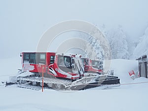 Japanese Winter Scene in Zao