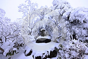 Japanese Winter Scene at Zao Zaoonsen Yamagata