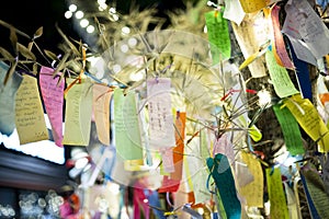 Japanese Wishing Tree with wishes written on Tanzaku