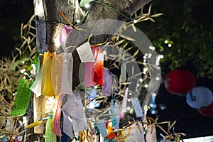 Japanese Wishing Tree with wishes written on Tanzaku