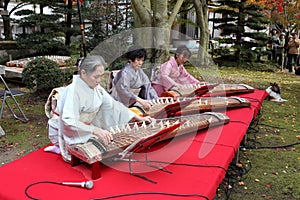Japanese women playing the traditional koto