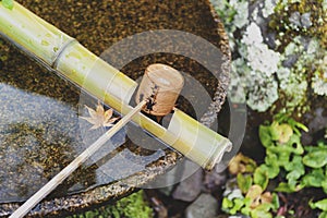 Japanese wooden purification dipper in a chozubachi or water basin used to rinse the hands in Japanese temples