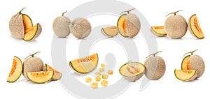 Japanese yellow melon fruit