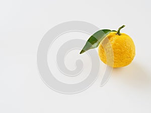 Yuzu placed on a white background photo