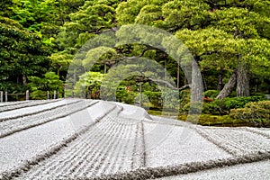 Japanese Zen Garden