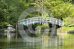 Japanese Zen Garden photo