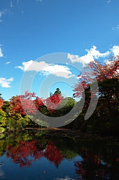 Japanese zen garden