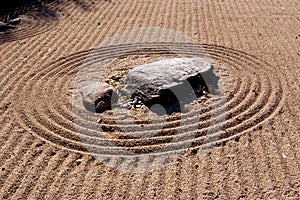 Japanese Zen Garden