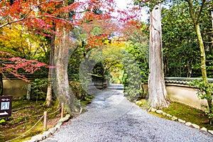 Japanese zen garden, autumn Kyoto
