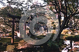 Japanese Zen garden with a gate and pagoda in Kenrokuen garden Kanazawa