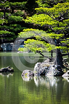 Japanese zen garden in kinkakuji temple park, Kyoto