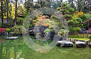 Japanese Zen Garden photo