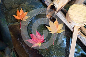 Japanese zen garden for relaxation