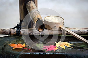 Japanese zen garden for relaxation