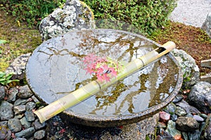 Japanese zen garden for relaxation