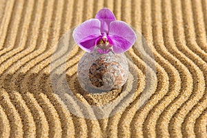 Japanese Zen garden with stone in textured sand