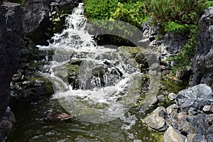 Japanese zen garden waterfall with duck