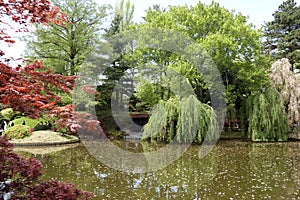 Japaneses garden