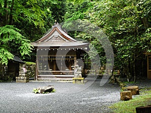 Japanse temple in the forest