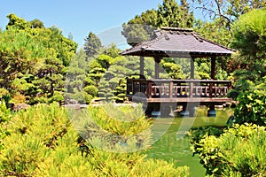 Japenese garden in San Francisco