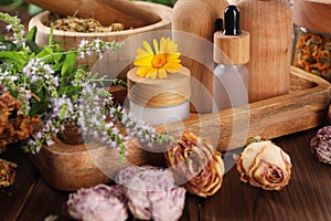 Jar, bottles of essential oils and different herbs on wooden table