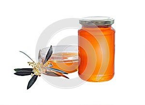 Jar and bowl of olive honey. Isolated