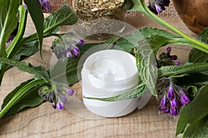 A jar of comfrey cream with fresh symphytum plant