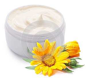 Jar of cream and calendula flower.