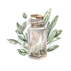 Jar with dry herbs. Watercolor hand-drawn illustration.