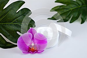 A jar of face cream with orchid and palm leaves on white background. Skincare product for facial. Natural skincare cosmetics.