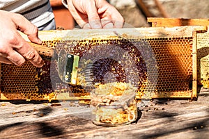 Jar of fresh honey in a glass jar, beekeeping tools outside. frame with bees wax structure full of fresh bee honey in honeycombs.