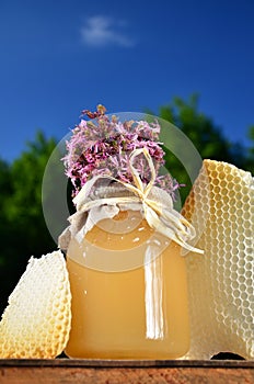 Jar full of delicious fresh honey, pieces of honeycomb and wild flowers in apiary